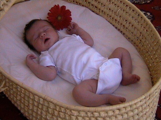 liam-bassinet-red-gerber